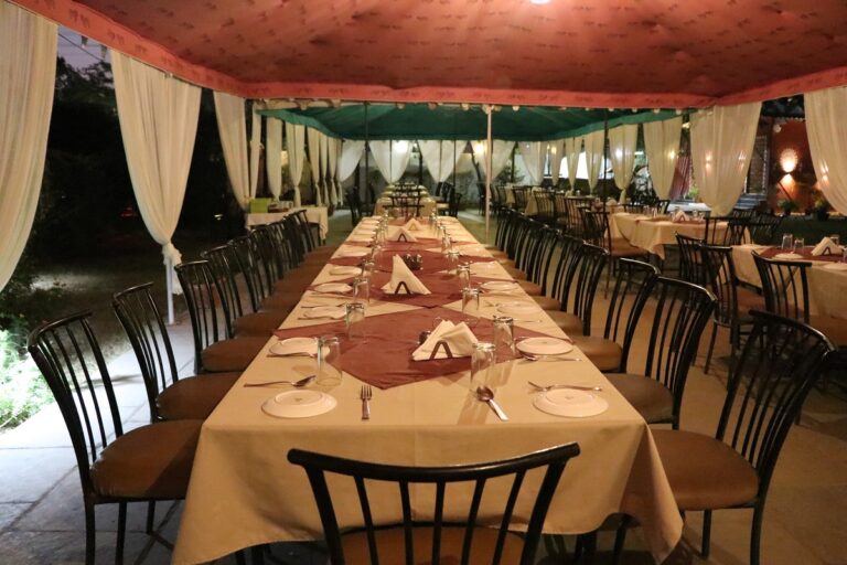 Best Restaurant In Udaipur For Dinner