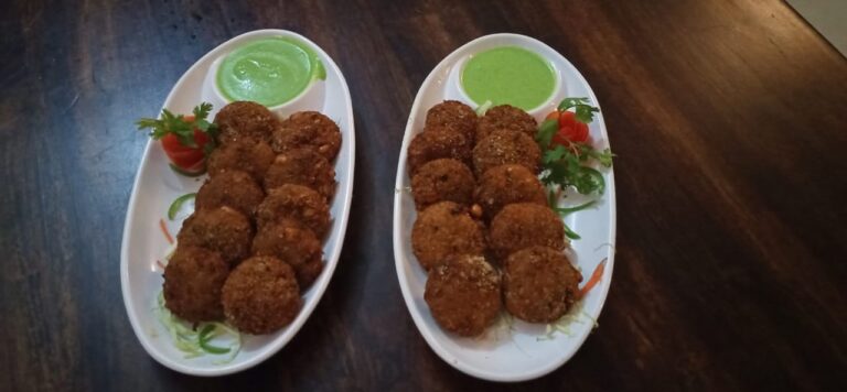Best Veg Kabab At Aroma Restaurant In Udaipur