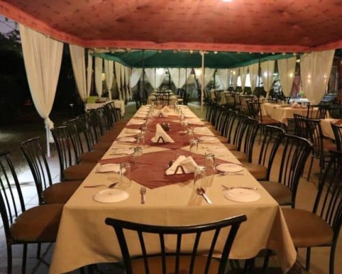 IMG_1893-768x512 (1)